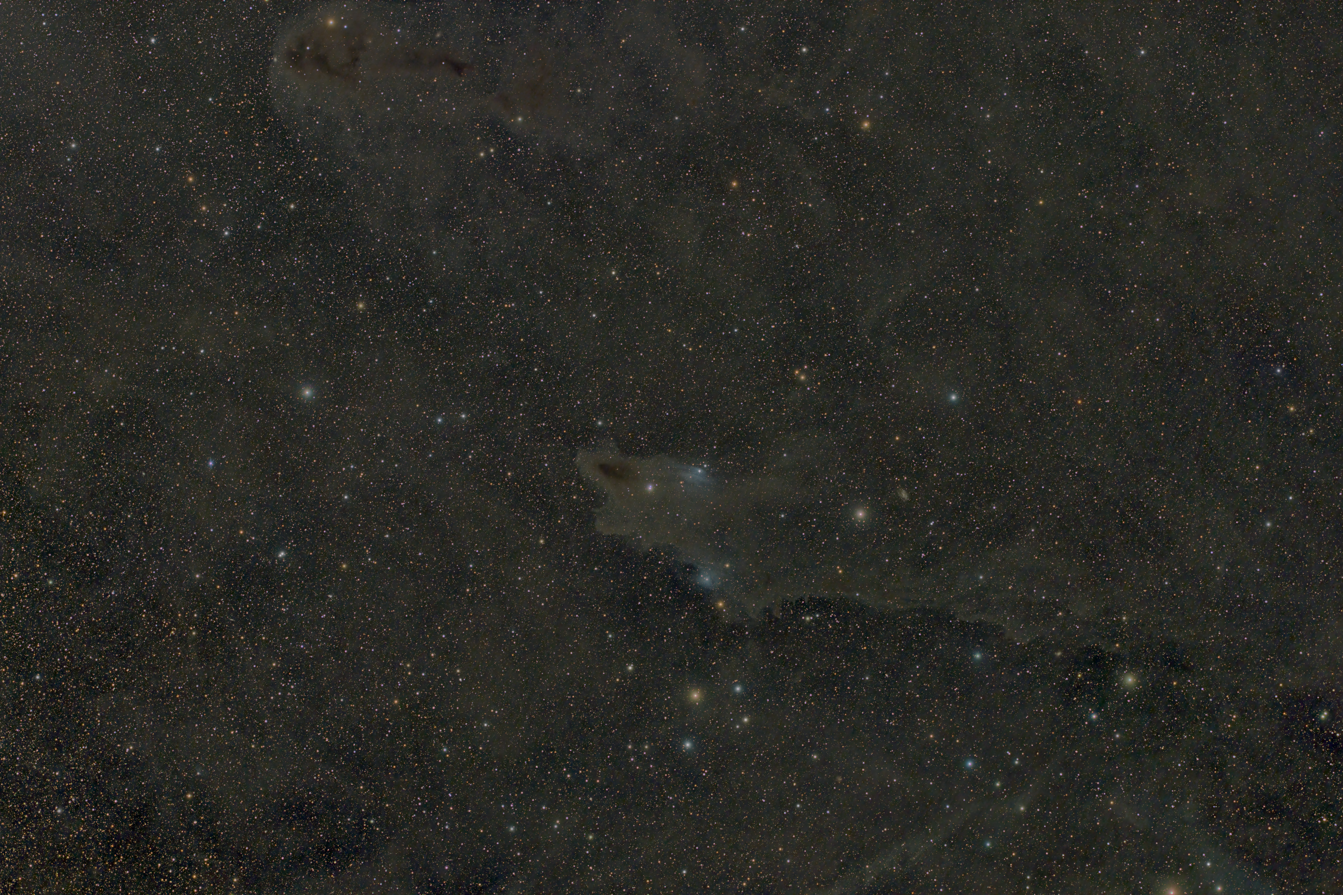 LBN 535, The Dark Shark Nebula