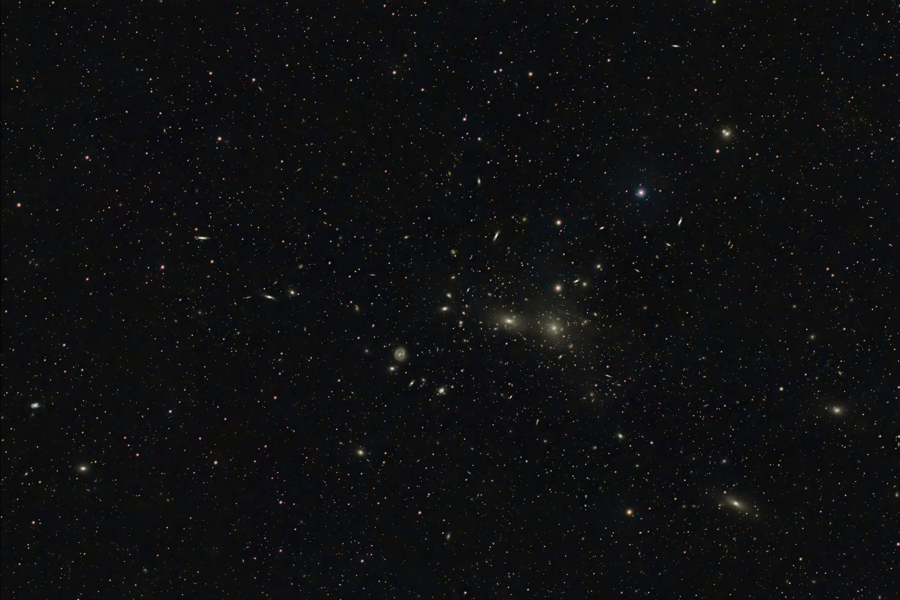 NGC 4889, The Coma Cluster