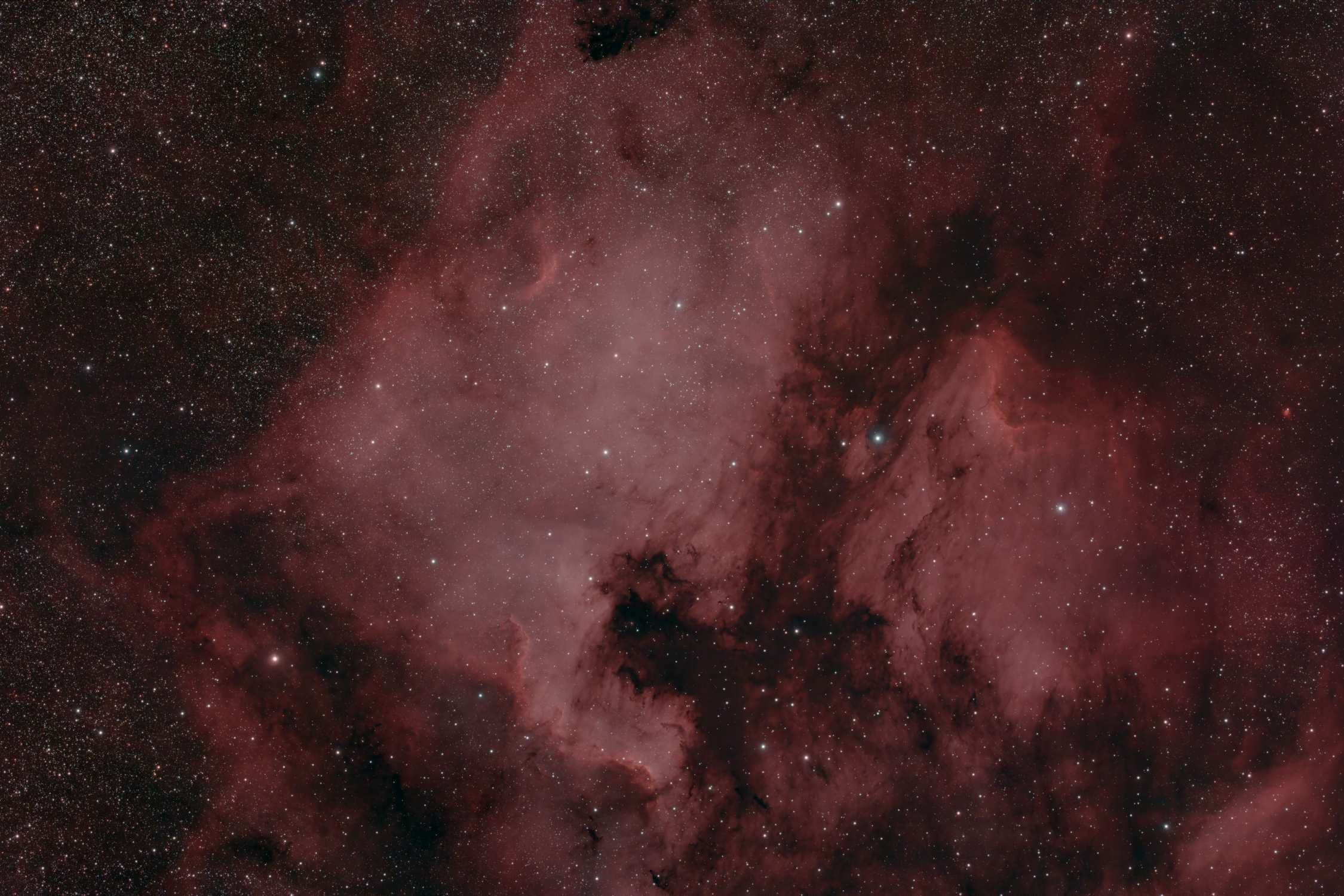 NGC 7000, The North American Nebula